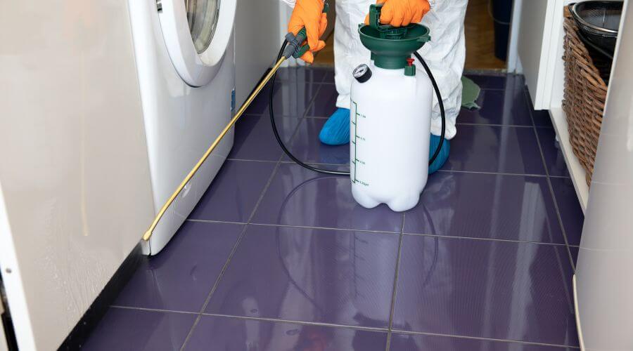 Why choose Chippewa Falls Bait Systems for bait systems in Chippewa Falls